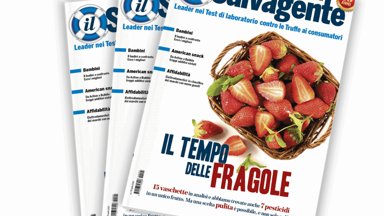 IL SALVAGENTE